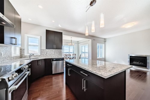 20 Walden Green Se, Calgary, AB - Indoor Photo Showing Kitchen With Stainless Steel Kitchen With Upgraded Kitchen