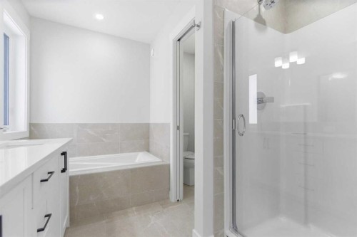 358 Corner Glen Way Ne, Calgary, AB - Indoor Photo Showing Bathroom
