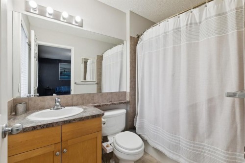 67 Copperfield Rise Se, Calgary, AB - Indoor Photo Showing Bathroom