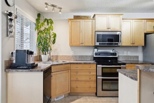 67 Copperfield Rise Se, Calgary, AB - Indoor Photo Showing Kitchen With Double Sink