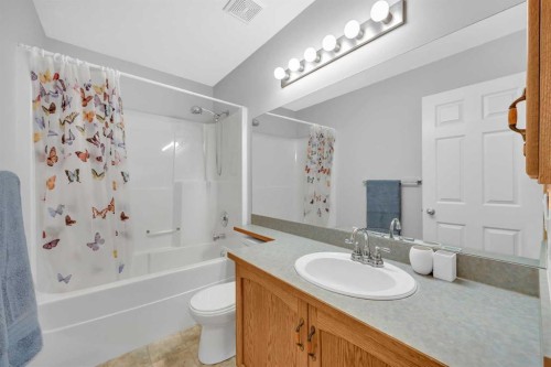 192 Somerglen Common, Calgary, AB - Indoor Photo Showing Bathroom