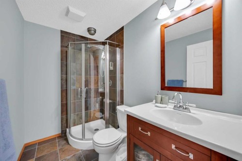 192 Somerglen Common, Calgary, AB - Indoor Photo Showing Bathroom