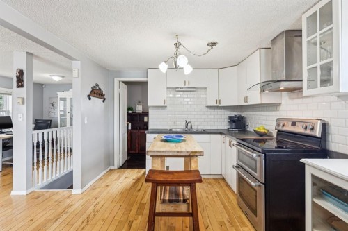 7417 24 Street Se, Calgary, AB - Indoor Photo Showing Kitchen With Stainless Steel Kitchen With Upgraded Kitchen