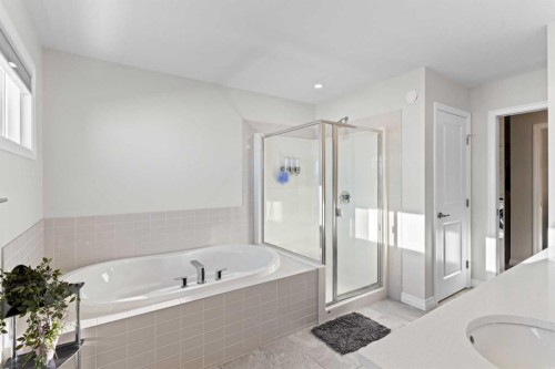 437 Corner Meadows Way Ne, Calgary, AB - Indoor Photo Showing Bathroom
