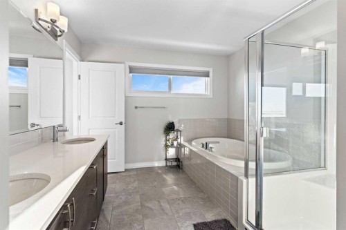 437 Corner Meadows Way Ne, Calgary, AB - Indoor Photo Showing Bathroom