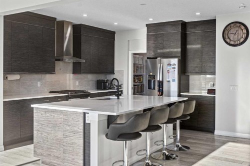 437 Corner Meadows Way Ne, Calgary, AB - Indoor Photo Showing Kitchen With Upgraded Kitchen