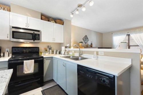 352 Elgin Gardens Se, Calgary, AB - Indoor Photo Showing Kitchen With Double Sink