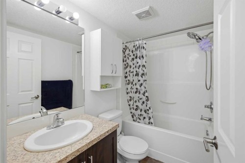 2102-279 Copperpond Common Se, Calgary, AB - Indoor Photo Showing Bathroom