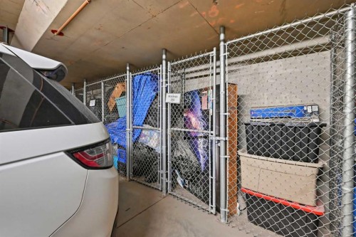 2102-279 Copperpond Common Se, Calgary, AB - Indoor With Storage