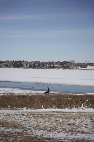 952 South Shore Terrace, Chestermere, AB - Outdoor With Body Of Water With View