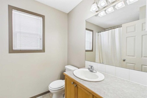 115 Citadel Mesa Close Nw, Calgary, AB - Indoor Photo Showing Bathroom