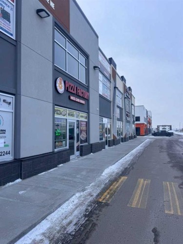 4231 109 Avenue Ne, Calgary, AB 