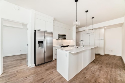 2107-63 Corner Glen Crescent Ne, Calgary, AB - Indoor Photo Showing Kitchen With Double Sink With Upgraded Kitchen