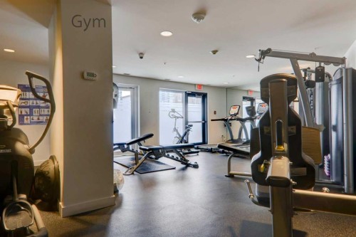 1409-303 13 Avenue Sw, Calgary, AB - Indoor Photo Showing Gym Room