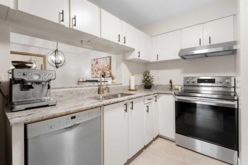 503-225 25 Avenue Sw, Calgary, AB - Indoor Photo Showing Kitchen With Double Sink