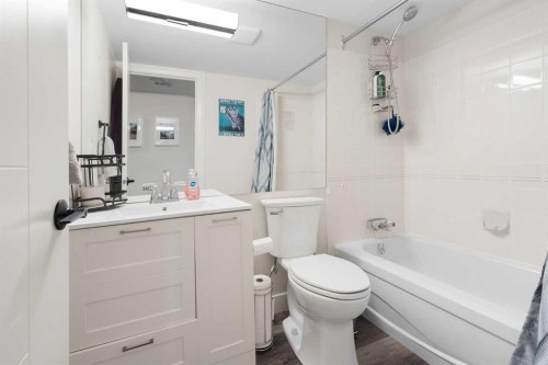 503-225 25 Avenue Sw, Calgary, AB - Indoor Photo Showing Bathroom