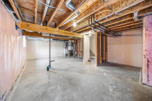 1005 Sage Meadows Gardens Nw, Calgary, AB - Indoor Photo Showing Basement