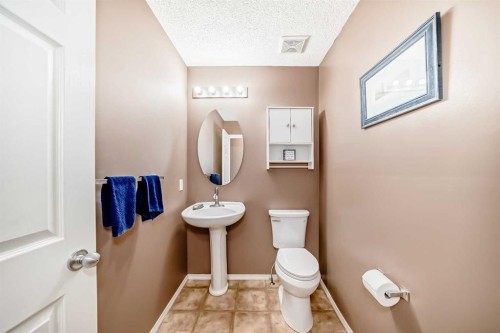 67 Cimarron Meadows Bay, Okotoks, AB - Indoor Photo Showing Bathroom