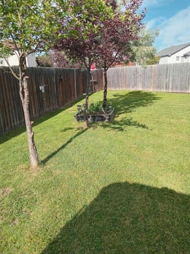 67 Cimarron Meadows Bay, Okotoks, AB - Outdoor With Backyard