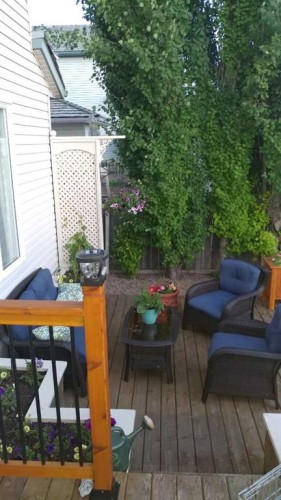 92 Bow Ridge Crescent, Cochrane, AB - Outdoor With Deck Patio Veranda