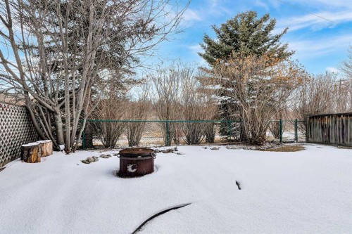 92 Bow Ridge Crescent, Cochrane, AB - Outdoor