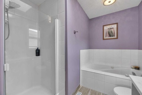 92 Bow Ridge Crescent, Cochrane, AB - Indoor Photo Showing Bathroom