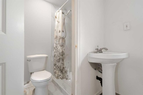 214 Huntington Close Ne, Calgary, AB - Indoor Photo Showing Bathroom