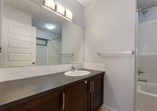 14 Pantego Lane Nw, Calgary, AB - Indoor Photo Showing Bathroom