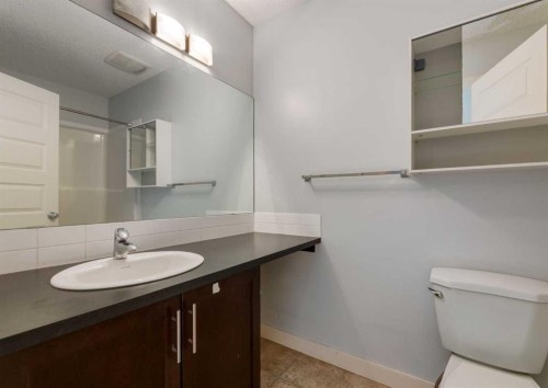 14 Pantego Lane Nw, Calgary, AB - Indoor Photo Showing Bathroom