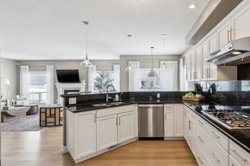 155 Somme Manor Sw, Calgary, AB - Indoor Photo Showing Kitchen With Upgraded Kitchen