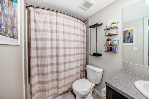 35 Walden Mount Se, Calgary, AB - Indoor Photo Showing Bathroom