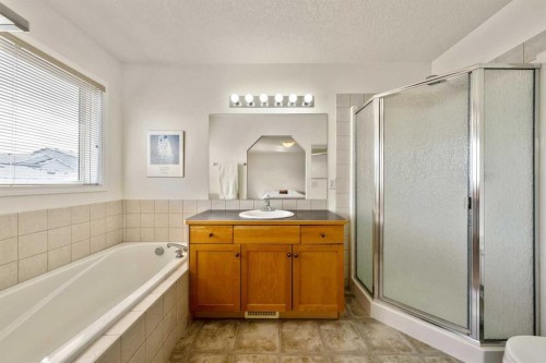 1211 Everridge Drive Sw, Calgary, AB - Indoor Photo Showing Bathroom