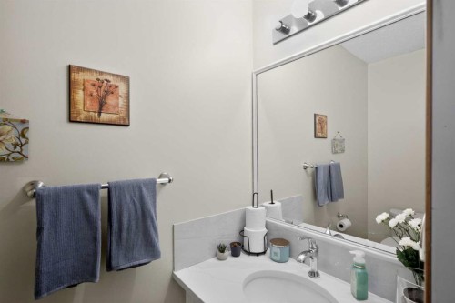 247 Templewood Road Ne, Calgary, AB - Indoor Photo Showing Bathroom