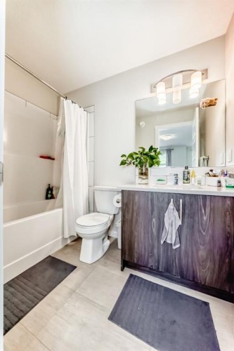 206 Cranbrook Square Se, Calgary, AB - Indoor Photo Showing Bathroom