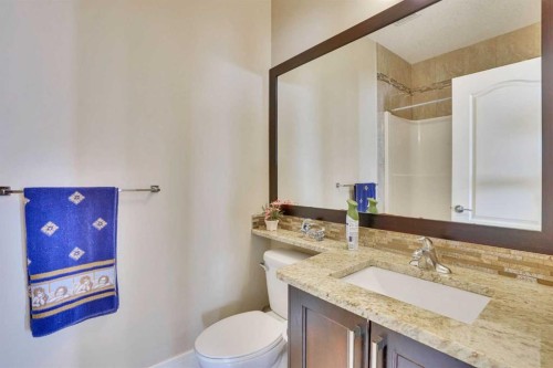 9 Saddlelake Grove Ne, Calgary, AB - Indoor Photo Showing Bathroom