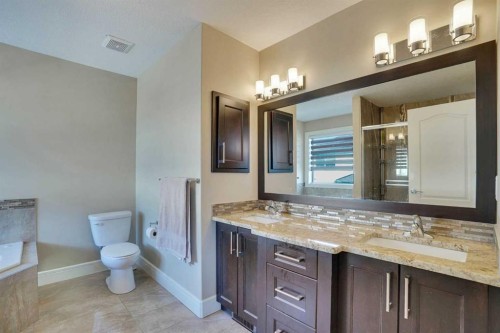 9 Saddlelake Grove Ne, Calgary, AB - Indoor Photo Showing Bathroom