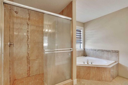 9 Saddlelake Grove Ne, Calgary, AB - Indoor Photo Showing Bathroom
