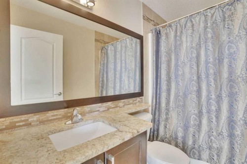 9 Saddlelake Grove Ne, Calgary, AB - Indoor Photo Showing Bathroom