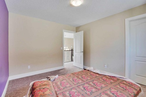 9 Saddlelake Grove Ne, Calgary, AB - Indoor