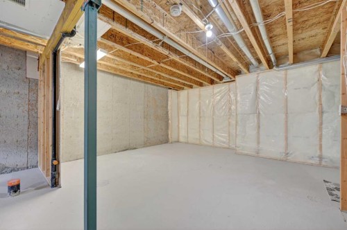 150 Everridge Common Sw, Calgary, AB - Indoor Photo Showing Basement