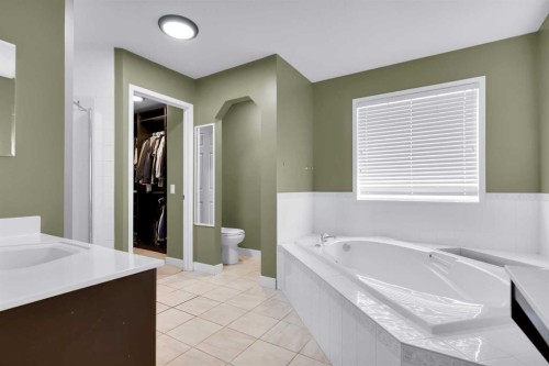 6 Douglas Woods Bay Se, Calgary, AB - Indoor Photo Showing Bathroom