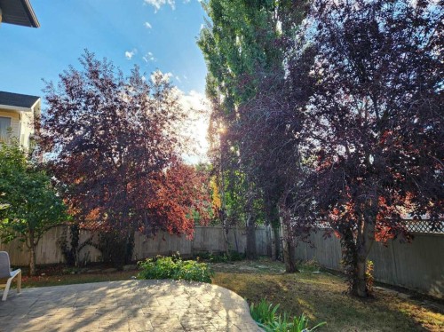 6 Douglas Woods Bay Se, Calgary, AB - Outdoor