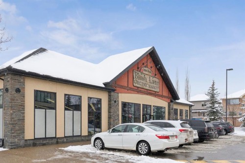 62 Ascot Crescent Sw, Calgary, AB - Outdoor