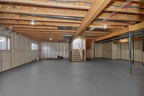 1049 Waterstone Green, Chestermere, AB - Indoor Photo Showing Basement