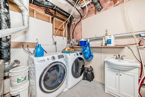 22 Applestone Park Se, Calgary, AB - Indoor Photo Showing Laundry Room
