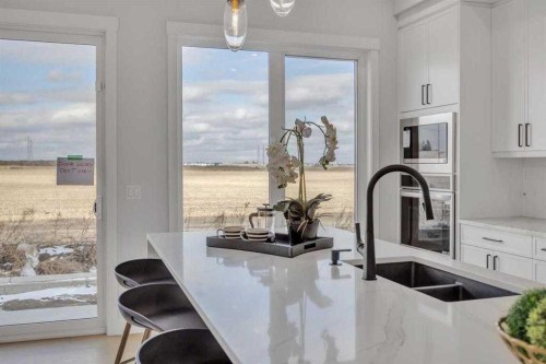 384 Watercrest Place, Chestermere, AB - Indoor Photo Showing Kitchen With Double Sink With Upgraded Kitchen