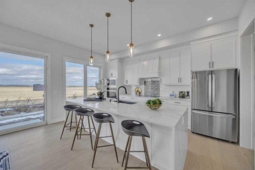 384 Watercrest Place, Chestermere, AB - Indoor Photo Showing Kitchen With Upgraded Kitchen