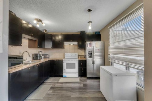 354 Aboyne Place Ne, Calgary, AB - Indoor Photo Showing Kitchen With Double Sink