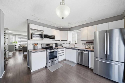 28 Martin Crossing Rise Ne, Calgary, AB - Indoor Photo Showing Kitchen With Stainless Steel Kitchen With Double Sink With Upgraded Kitchen
