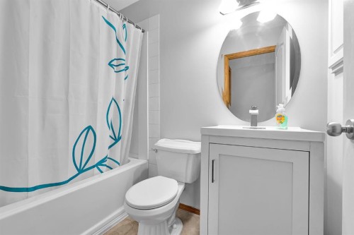 132 West Creek Drive, Chestermere, AB - Indoor Photo Showing Bathroom